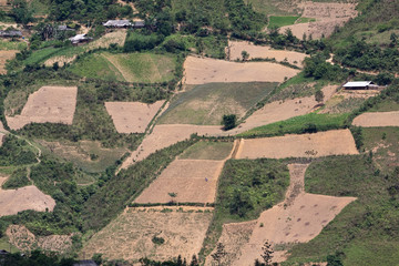 Terraced rice fields in Vietnam