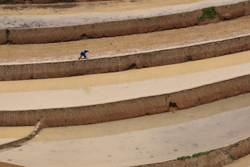 Terraced rice fields in Vietnam