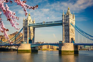 Rolgordijnen Tower bridge at spring, London © sborisov