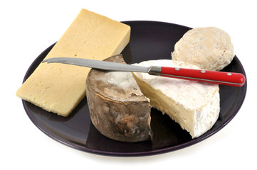 L'assiette de fromages sur fond blanc