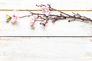 Apple blossom, spring background with blossoming branch on wooden boards