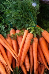 mazzi di carote 