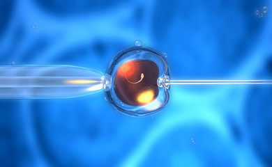 3D rendering of an artificial insemination or fertilization of an ovum - obrazy, fototapety, plakaty