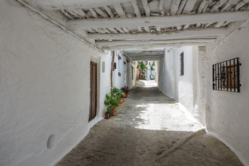 Fototapeta na wymiar Typical narrow street with plantpots in Capileira