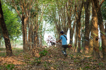 Farmer use machine to blow leaf to clean. Binh Phuoc, Viet Nam