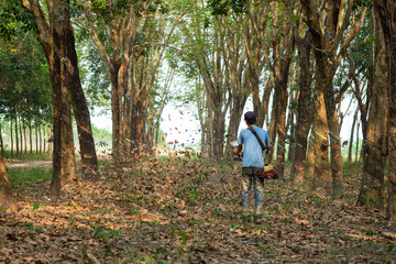 Farmer use machine to blow leaf to clean. Binh Phuoc, Viet Nam