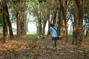 Farmer use machine to blow leaf to clean. Binh Phuoc, Viet Nam