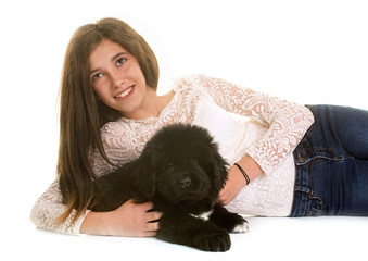 puppy newfoundland dog and teen