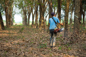 Farmer use machine to blow leaf to clean. Binh Phuoc, Viet Nam