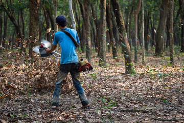 Farmer use machine to blow leaf to clean. Binh Phuoc, Viet Nam