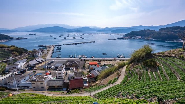 遊子水荷浦の段畑