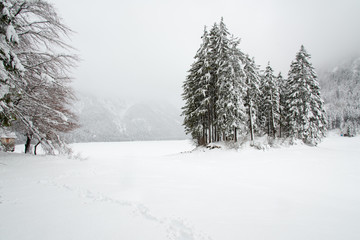 Snowfall on the frozen lake