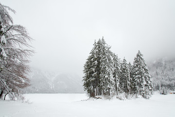 Obraz na płótnie Canvas Snowfall on the frozen lake
