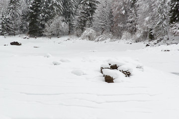 Snowfall on the frozen lake