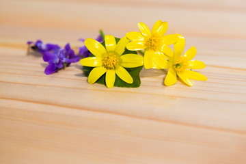 Fototapeta na wymiar Flowers on wooden . Small field flowers. flower on wooden background. Spring still-life, minimalism, selective focus, space for text. Ekibana, Still Life 