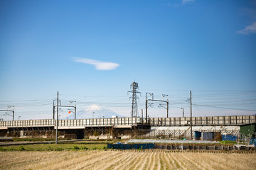 平塚市から眺める富士山
