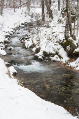 Fototapeta na wymiar Stream in the snow