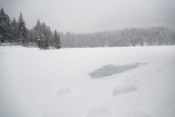 On the frozen lake during a snowfall. Fusine, Udine
