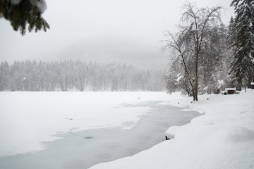 On the frozen lake during a snowfall. Fusine, Udine