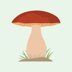 Edible fresh white mushroom nature food vegetarian healthy autumn and brown fungus organic vegetable raw ingredient vector illustration.