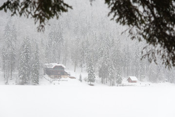 On the frozen lake during a snowfall. Fusine, Udine