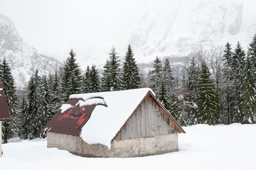 On the frozen lake during a snowfall. Fusine, Udine