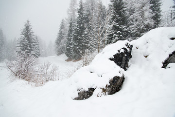 Walk in the village under a heavy snowfall