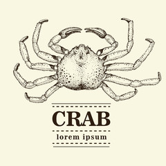 Vector seafood illustration with crab. Retro logo temtlate.