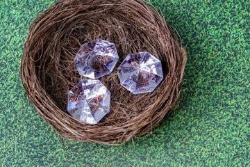 Diamanten im Nest