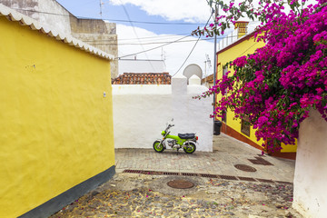 Fototapete bei efototapeten.de bestellen   