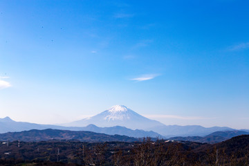 Fototapeta premium 湘南平から眺める富士山