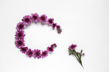 Flowers on white background. Flat lay, top view