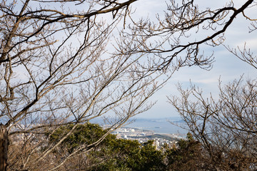 湘南平