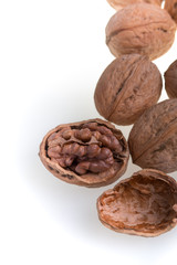 Walnut on a white background. Isolated. Dried nuts. Close up.