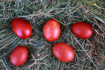 Пасхальные яйца в соломе