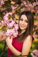 Beautiful girl posing to the photographer against the background of blooming pink trees. Spring. Sakura.