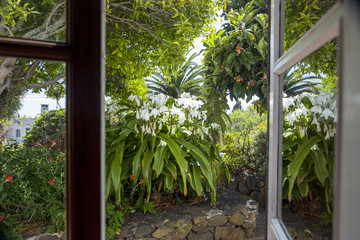 Open window with garden view
