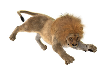 Obraz premium 3D Rendering Male Lion on White