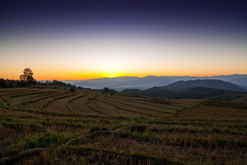 Beautiful landscape sunset of Rice terrace in Bong Peang Forest, Chiang Mai Province, Thailand