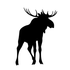 moose vector illustration black silhouette