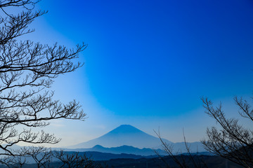 湘南平から眺める富士山