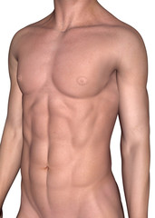 Fototapeta premium Male Muscle - 3D
