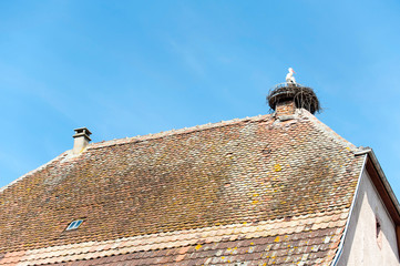 Fototapeta na wymiar Stork sitting in nest on top of ancient tiled roof.