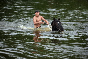 A guy is bathing a horse in a river