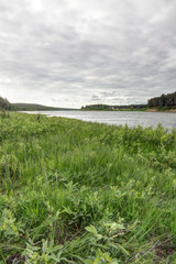 Picturesque forest and river