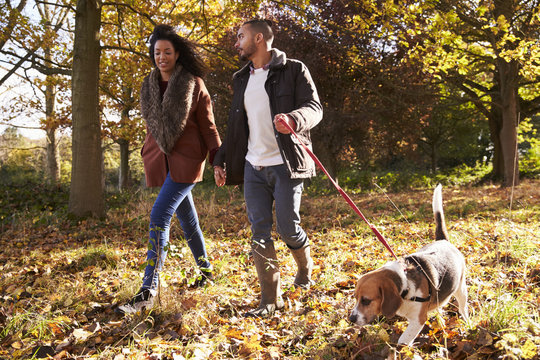 Couple Exercising Dog In Autumn Woodland