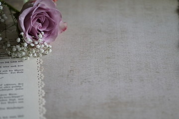 Vintage altrosa Rosen Komposition Text Freiraum