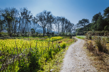 The countryside road scenery