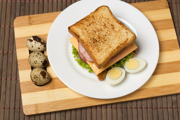 sandwich with cheese, tomato and smoked meat