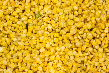 Frozen corn yellow background